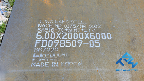 /img/products/origin/bizmac_thep-tam-bon-ap-luc-asme-202372914658.jpeg